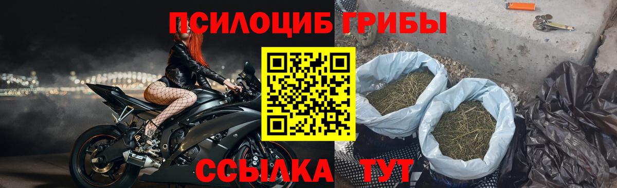 Псилоцибиновые грибы Psilocybine cubensis Вятские Поляны